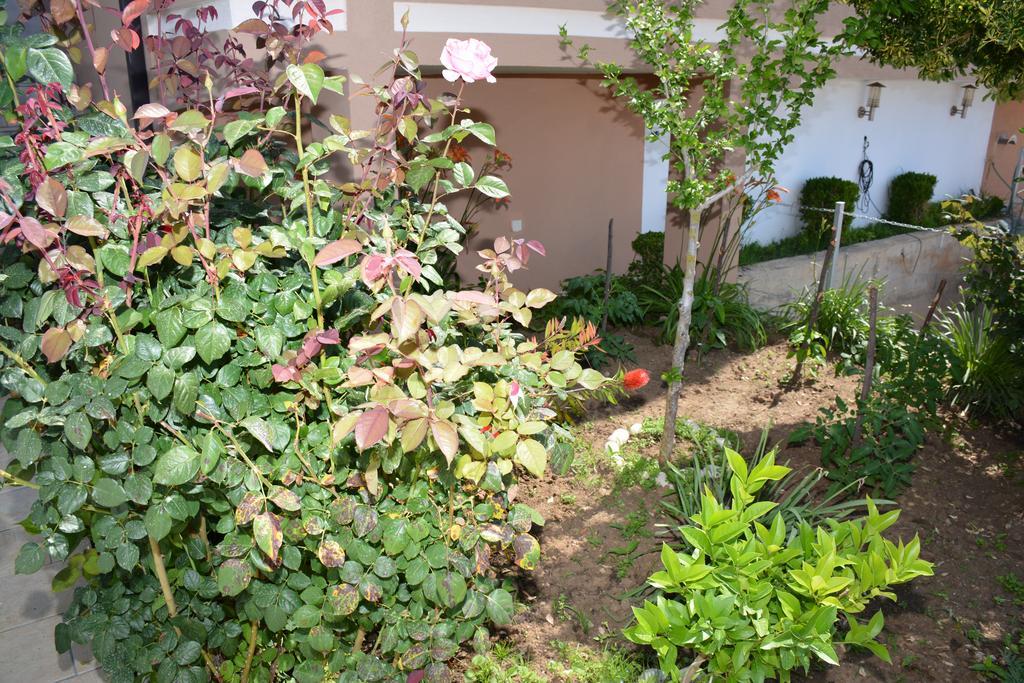 Guest House Evropa 2 Ulcinj Exterior foto
